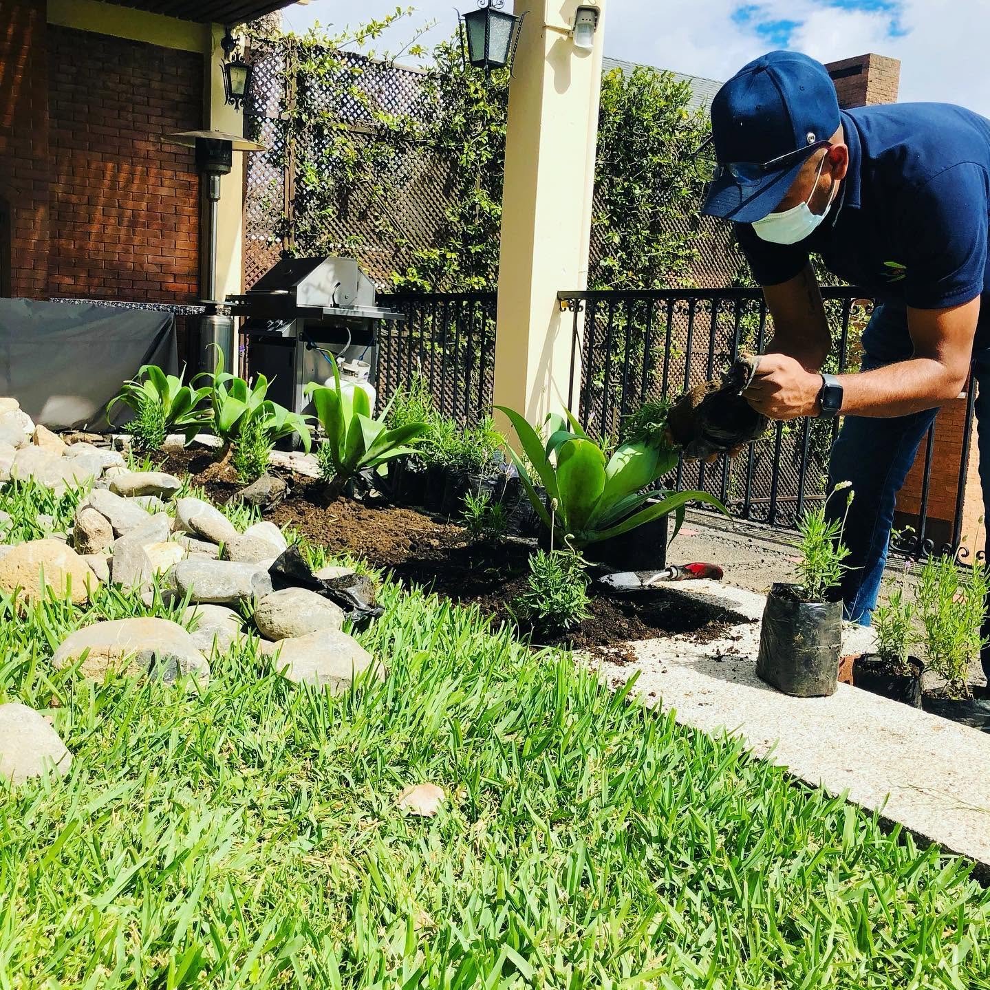 Jardinero trabajando en un jardín